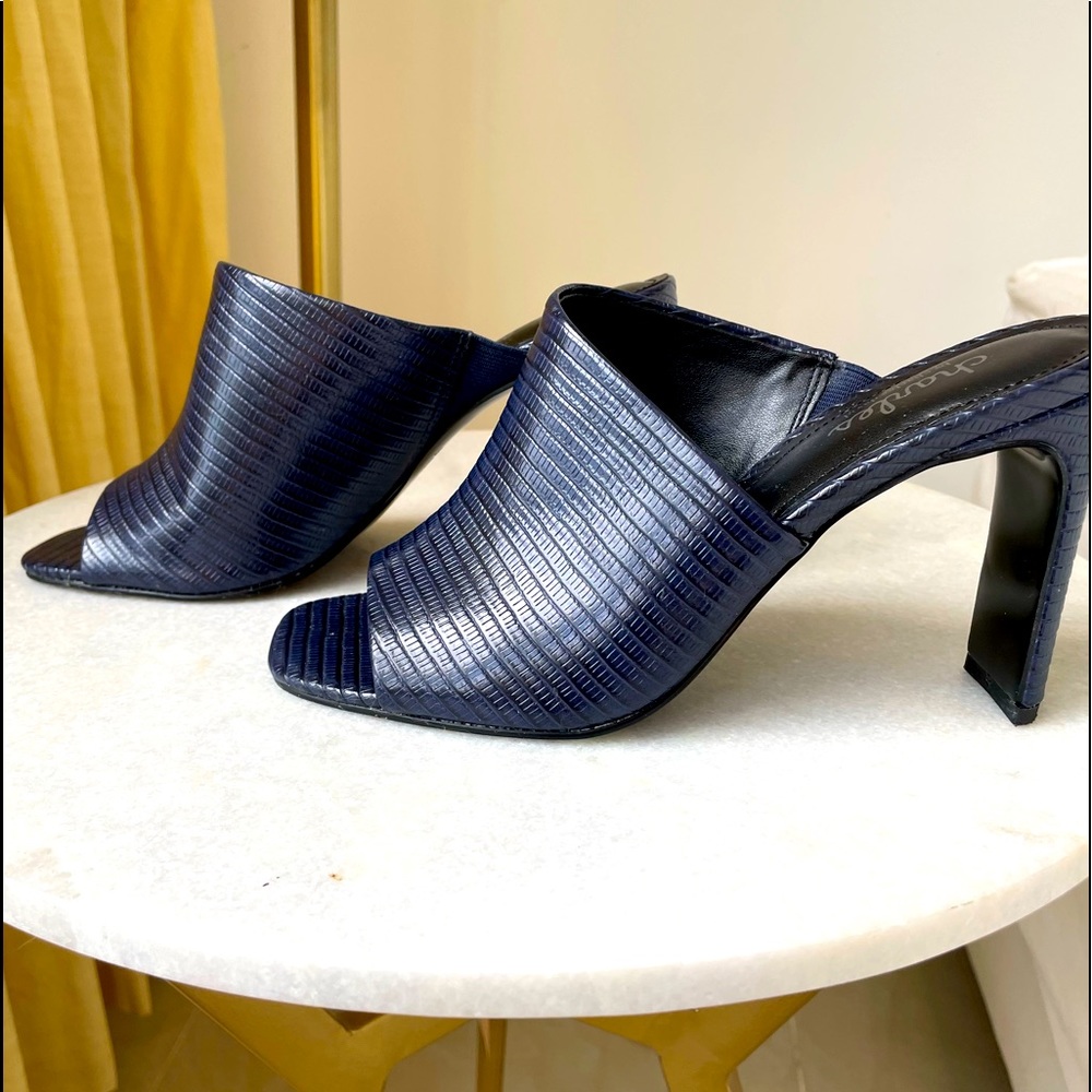 Charles David Navy Blue Mules